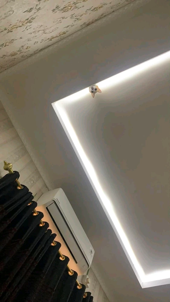 GIF uploaded by Ivon
