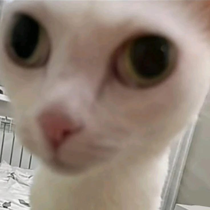 GIF uploaded by Julz