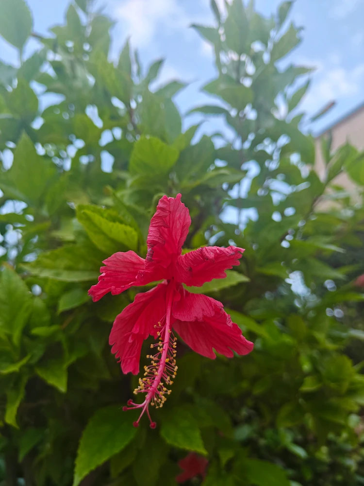 GIF uploaded by Karishma
