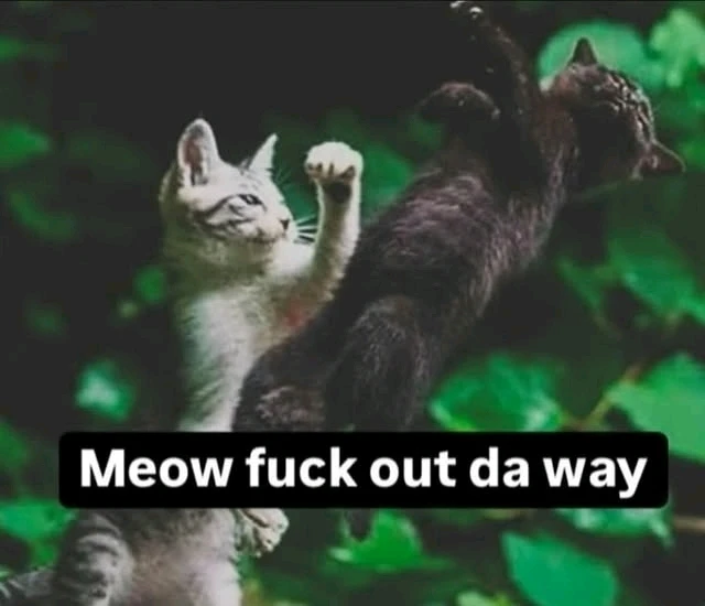 GIF uploaded by walliez