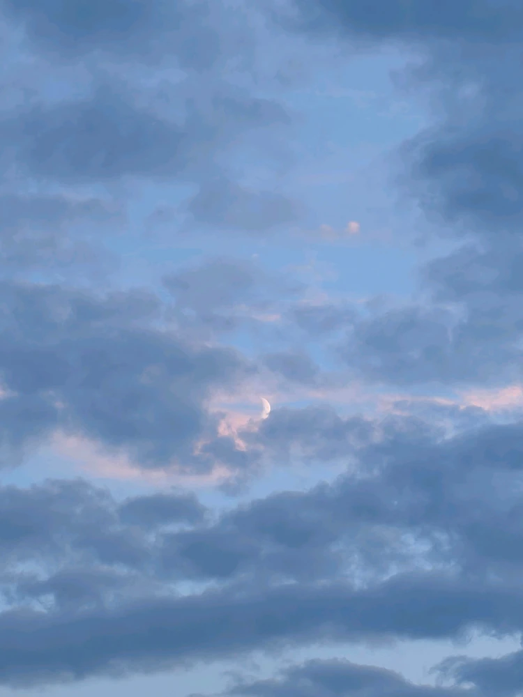 GIF uploaded by Dagmara