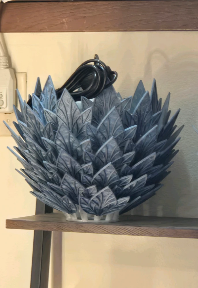Image uploaded by B