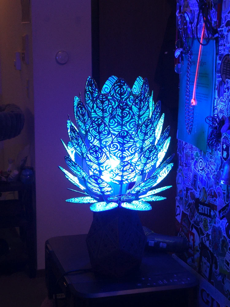 Image uploaded by B