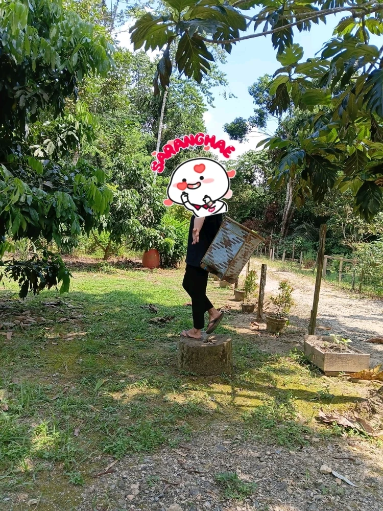 GIF တင်သူ - Bea