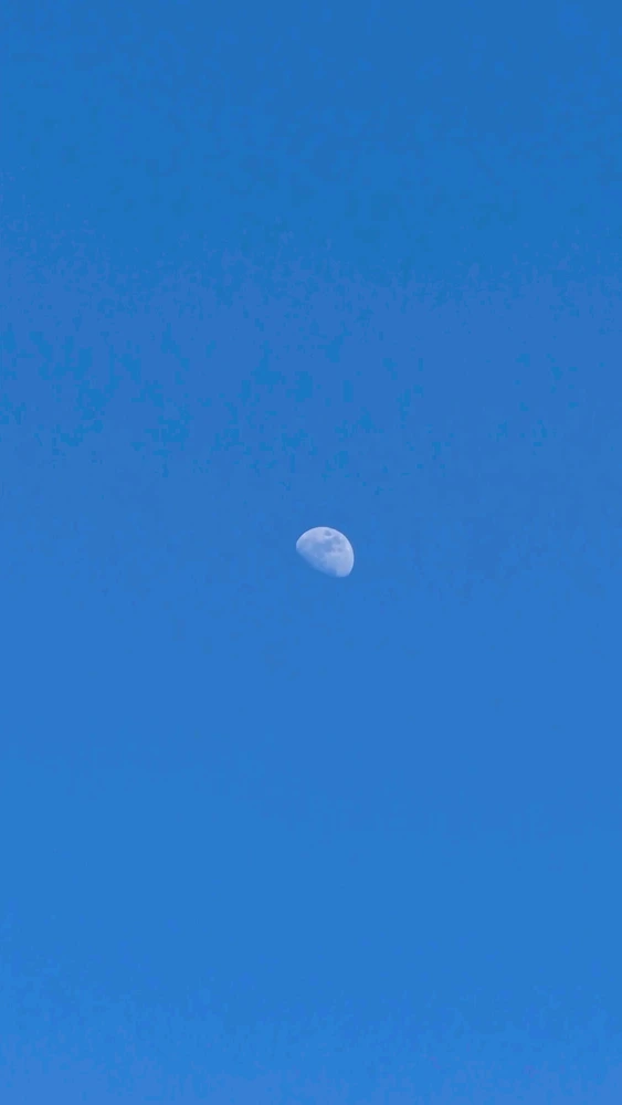 GIF uploaded by Karol
