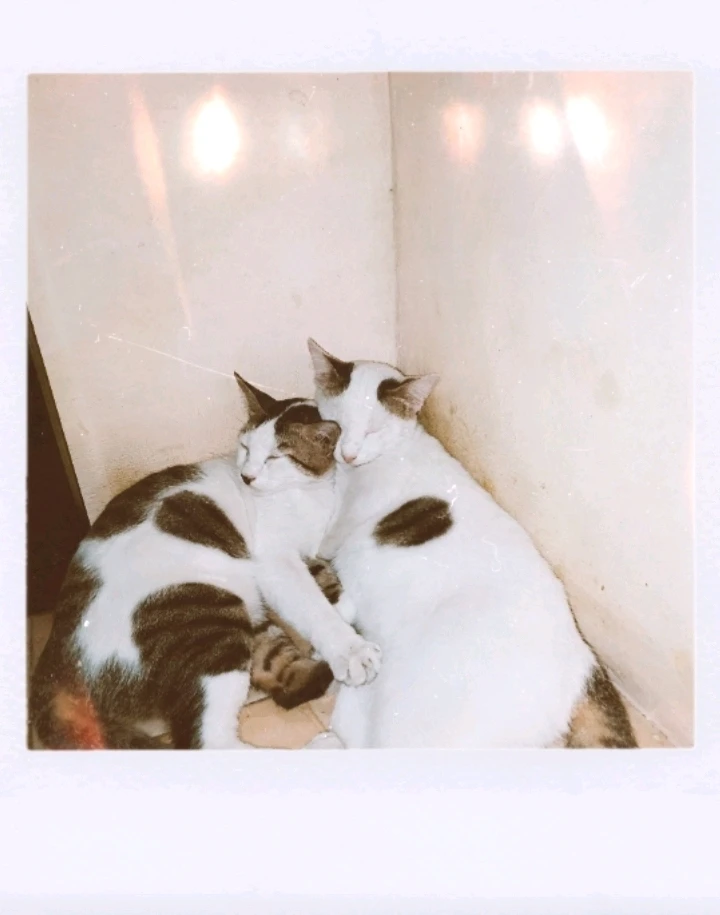 GIF enviado por ItsMe