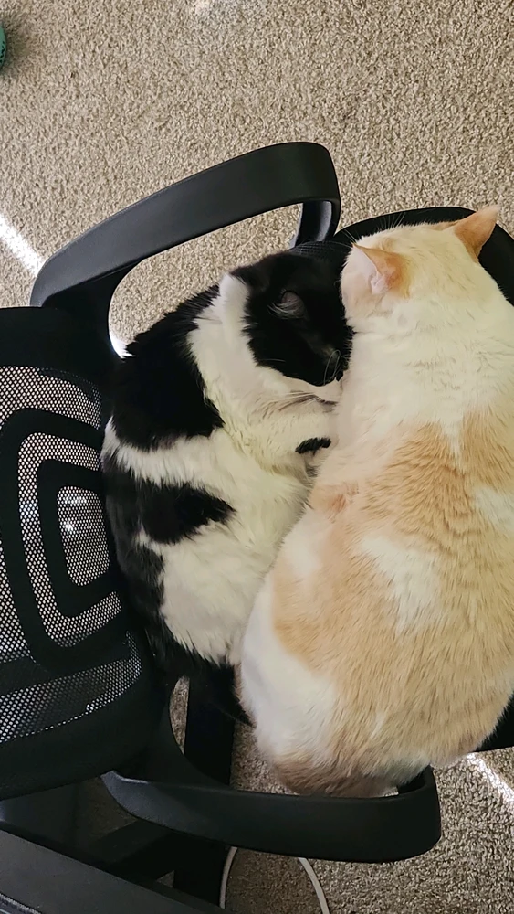 Skippy tarapyndan ýüklenen surat