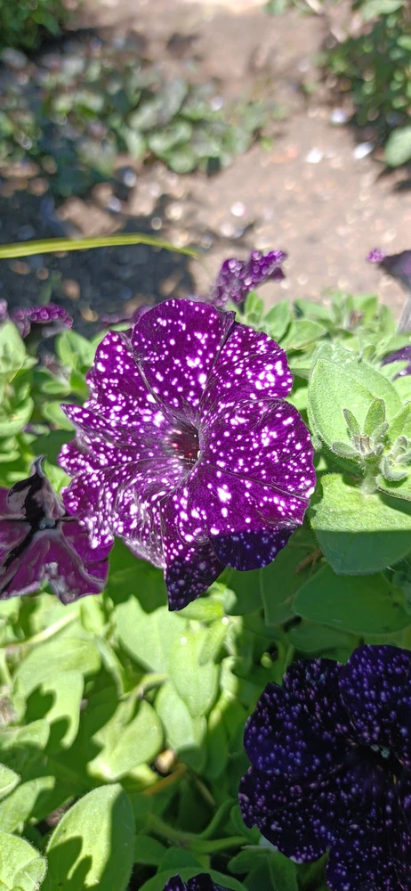 Image uploaded by Eleanor