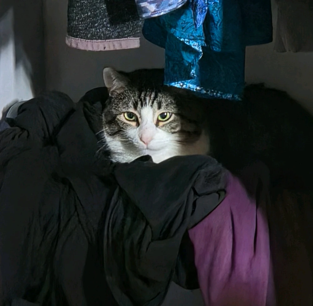GIF Nate tarapyndan ýüklenen