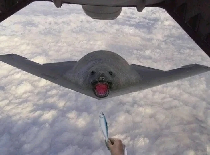GIF augšupielādēja Henrik