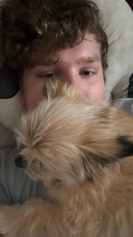 GIF nahrál Aiden