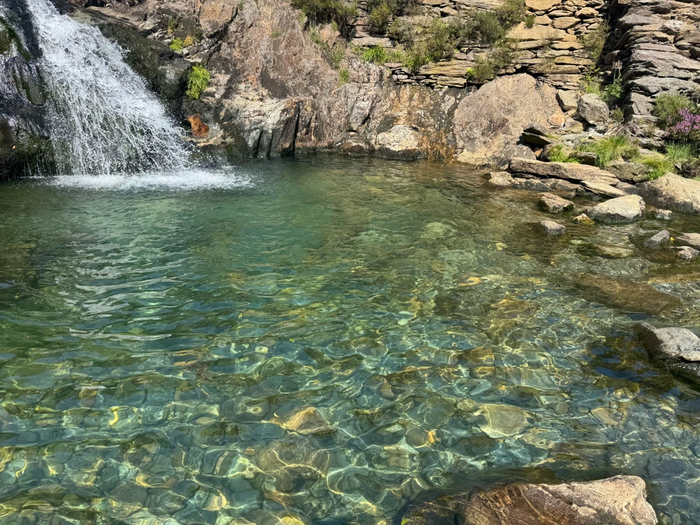 GIF uploaded by David