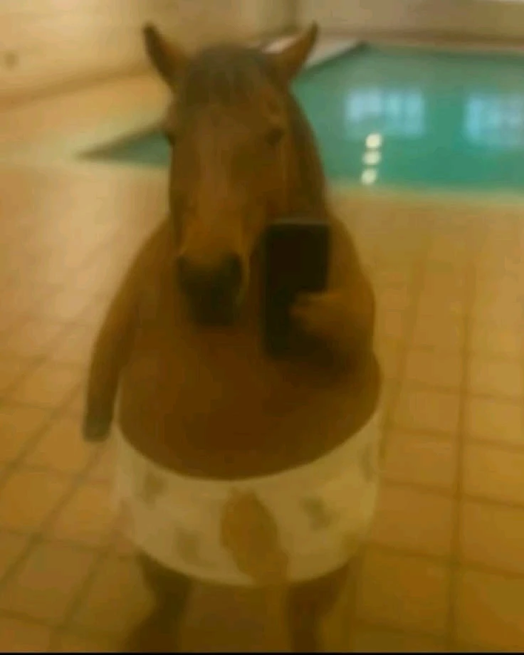 GIF uploaded by Wescley