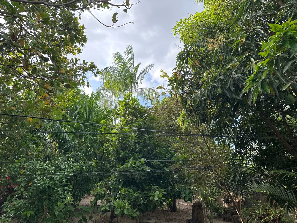 GIF yakaiswa naGabriella Castro