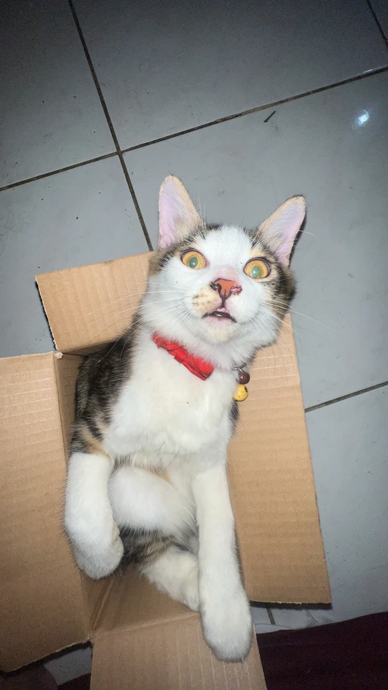 GIF uploaded by Tasha Winona