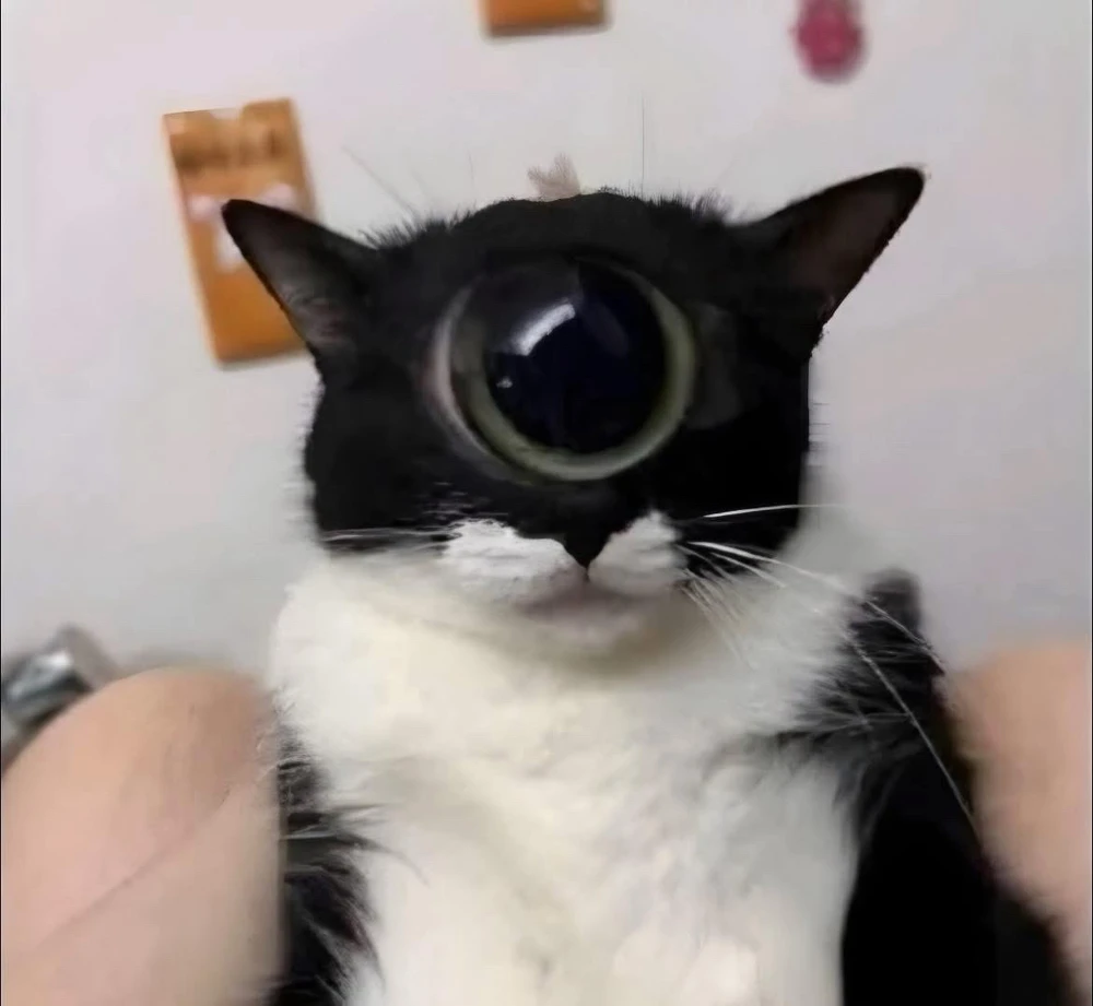 GIF augšupielādēja C