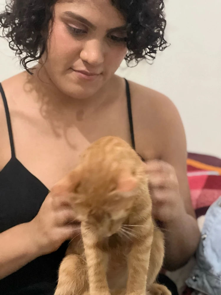 GIF uploaded by Sara Soares