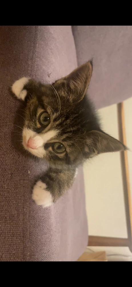 GIF uploaded by takuya
