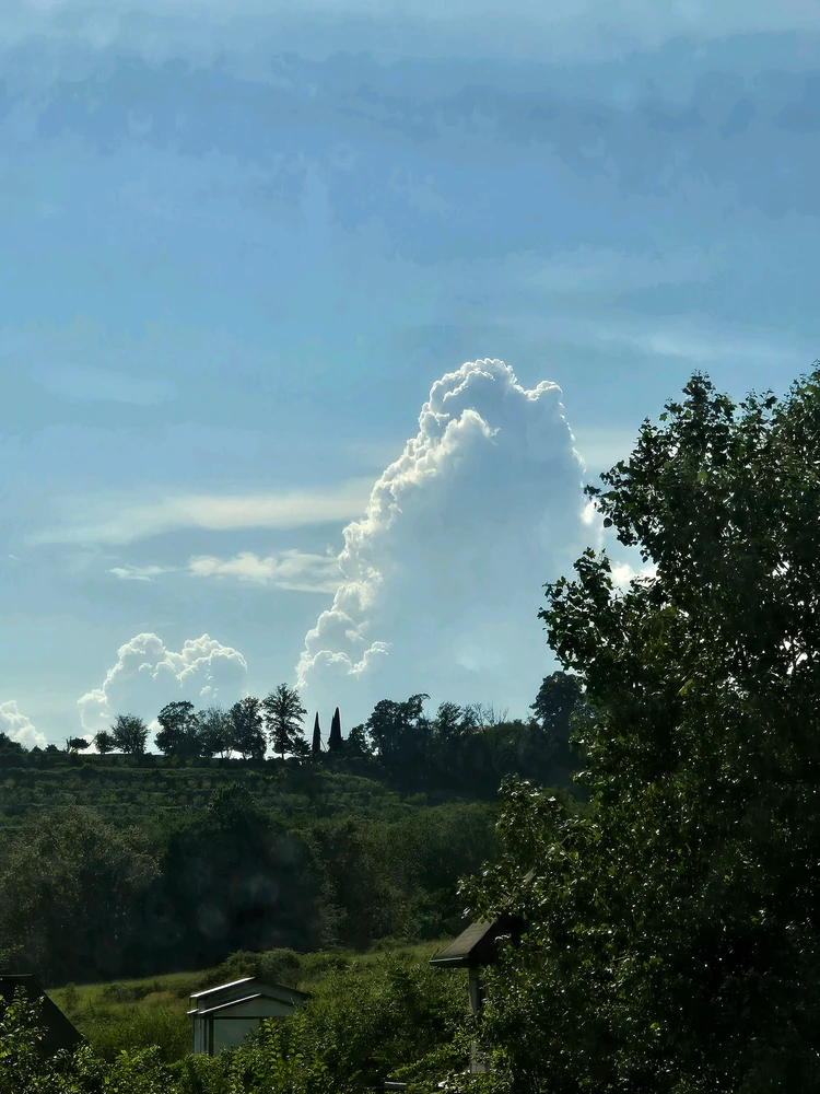 Imatge pujada per Maria