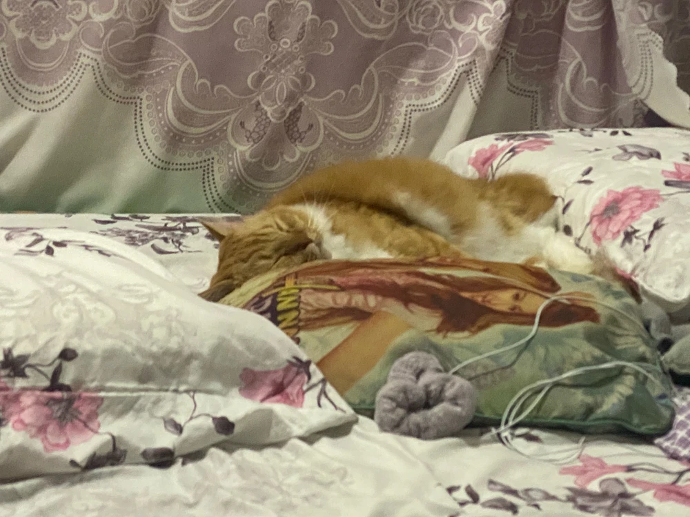 GIF uploaded by Farah