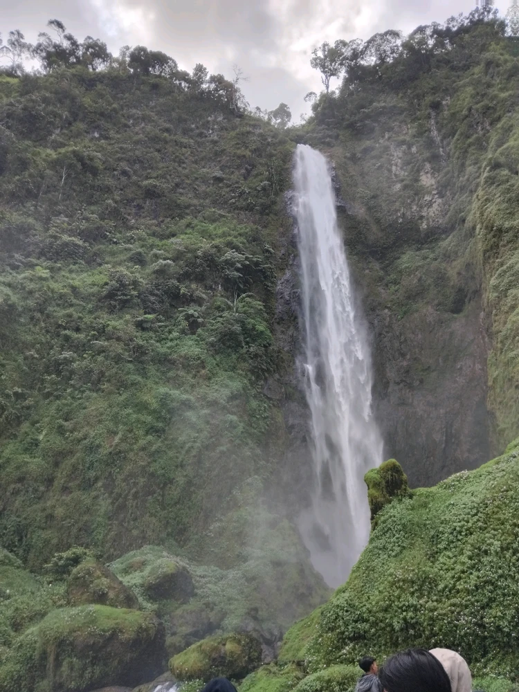 Wini Widia上传的GIF