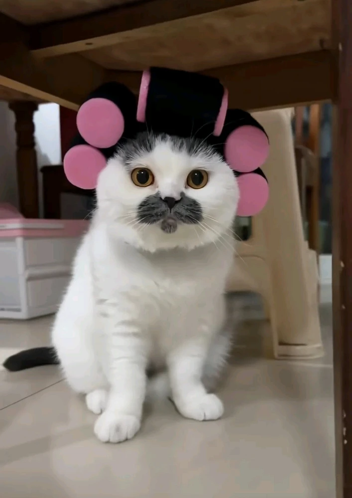 GIF uploaded by ®