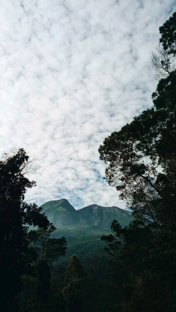 GIF uploaded by Gloria