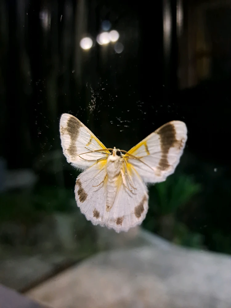 GIF uploaded by Rico