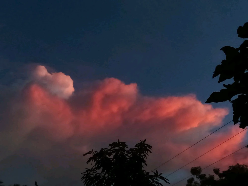 GIF uploaded by Su
