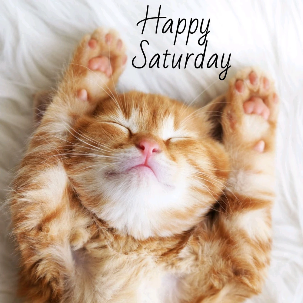 GIF uploaded by Saff