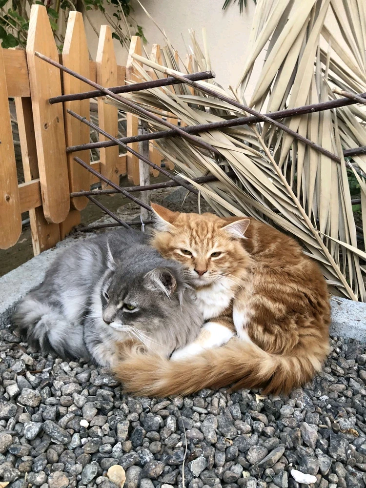 GIF uploaded by Salma