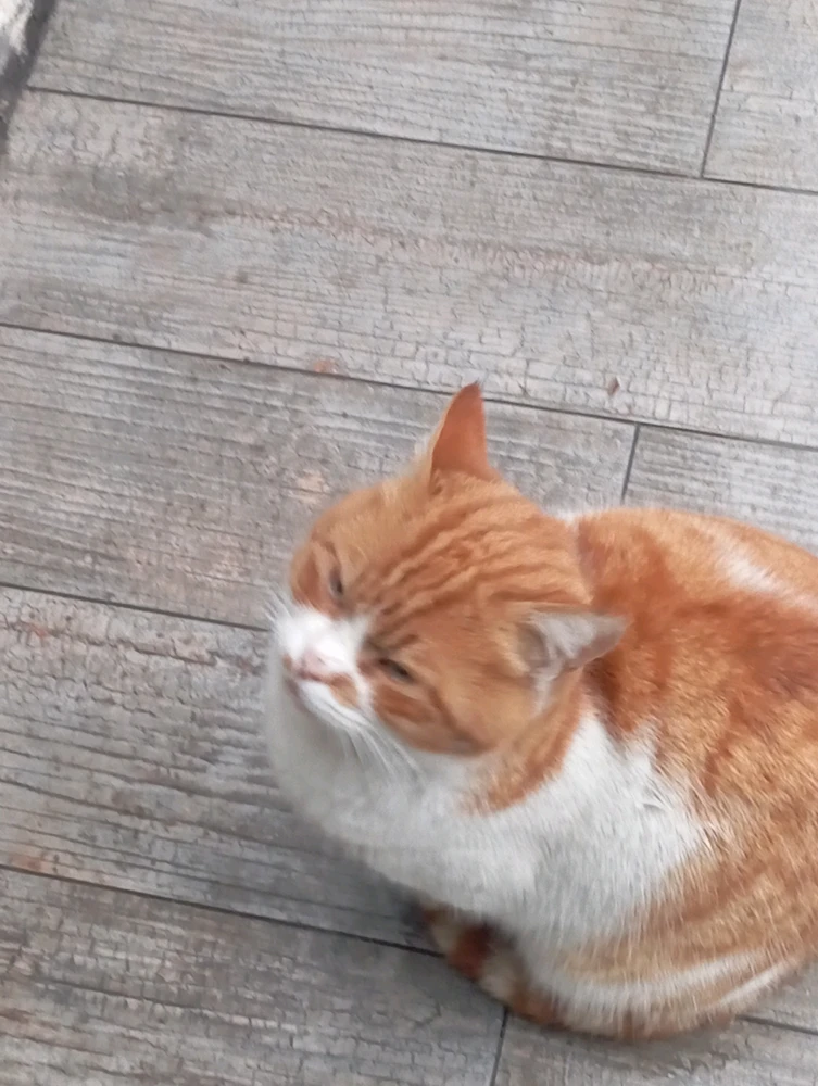 GIF hochgeladen von S