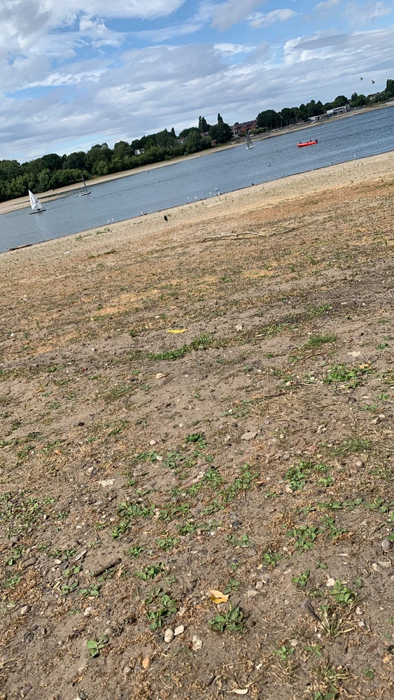 GIF uploaded by Alishan