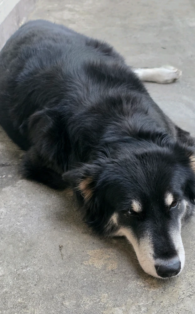 GIF uploaded by Belle