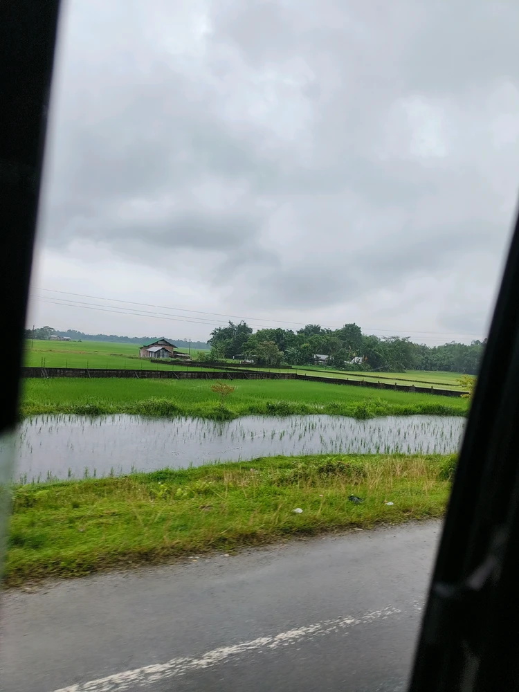GIF diunggah ku Api