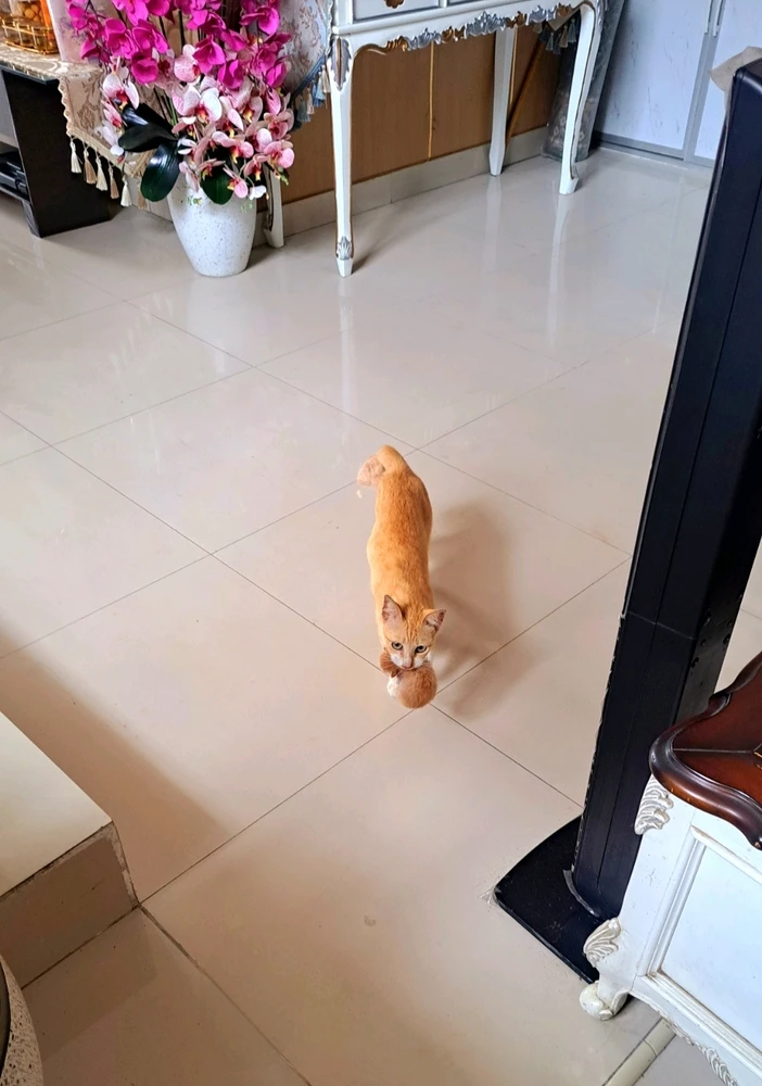GIF uploaded by Ivon