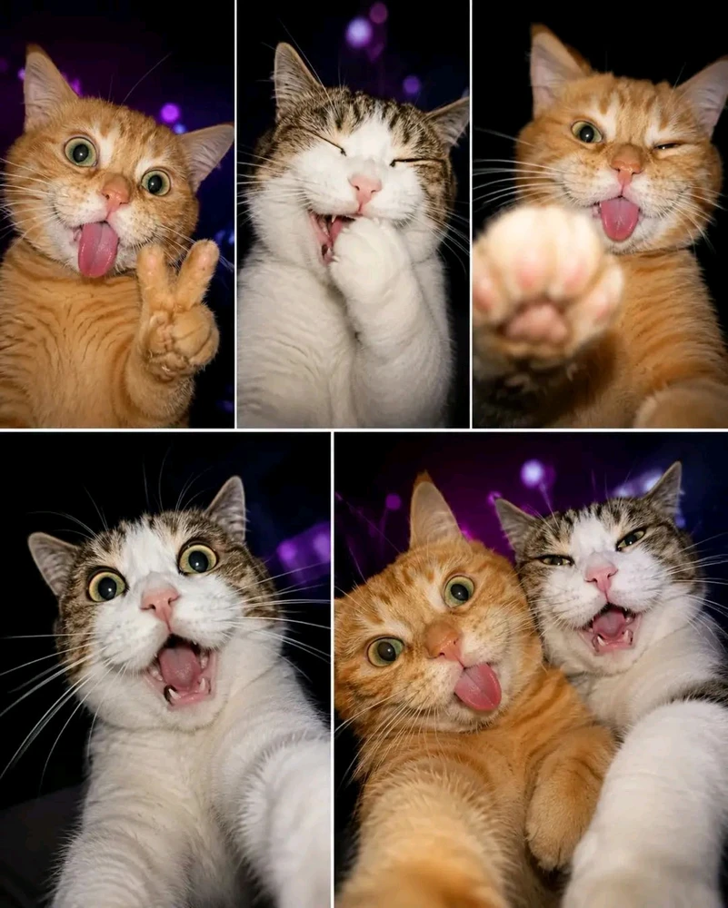 GIF uploaded by Sissy Kitty