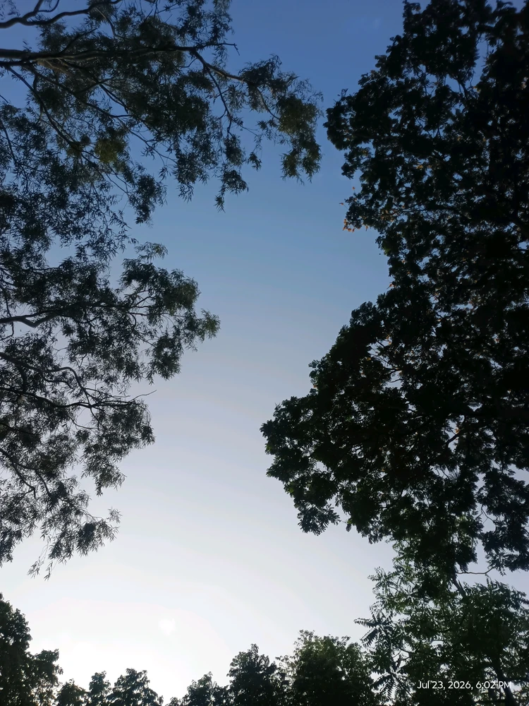 GIF uploaded by SOHIL SINGHAL