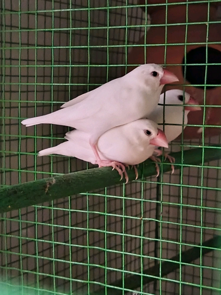 GIF uploaded by Subu