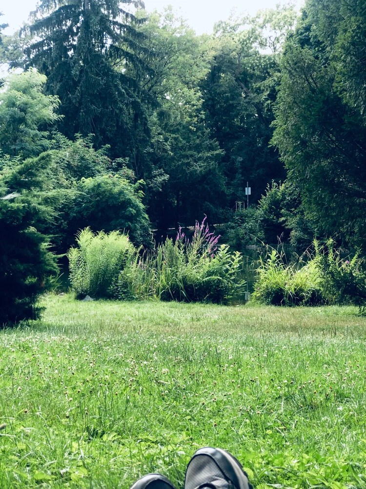 GIF uploaded by Yasith