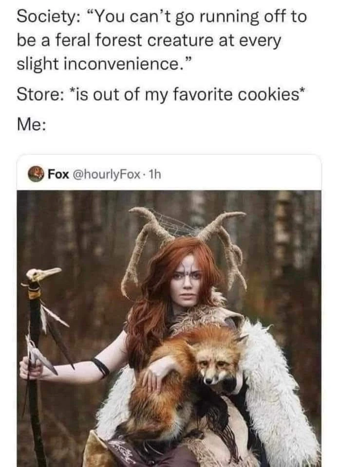 ℳℴ𝓇𝓃𝒾𝓃ℊ𝓈𝓉𝒶𝓇 által feltöltött GIF