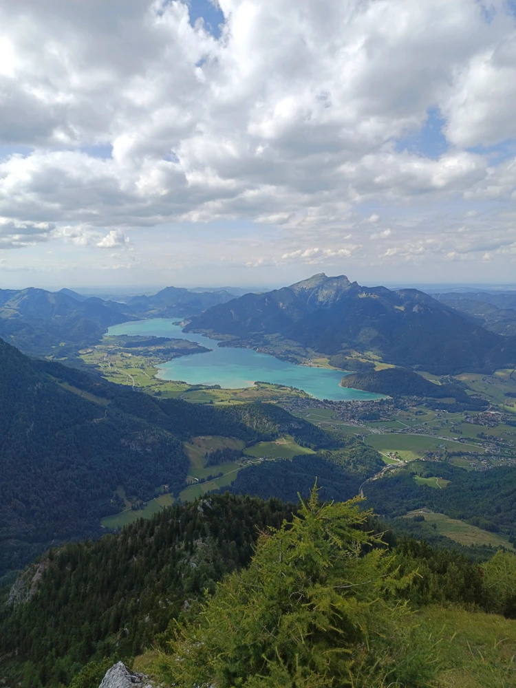 Image uploaded by Noah