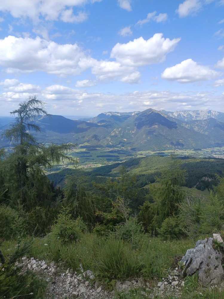 Image uploaded by Noah