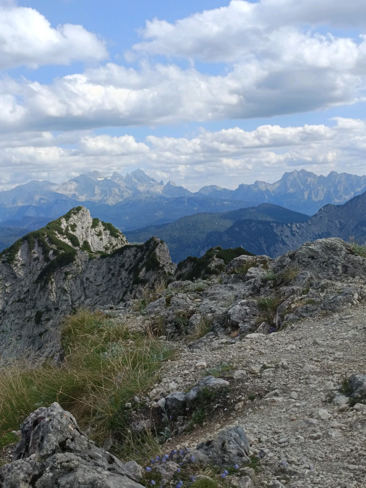 Image uploaded by Noah