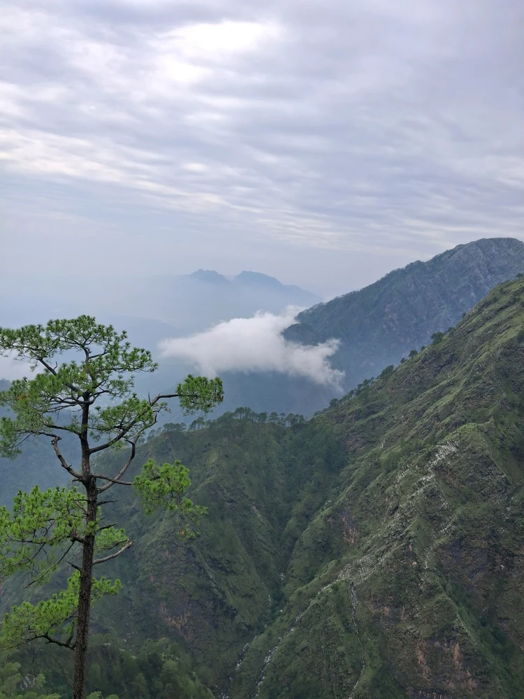 Image uploaded by Shifu