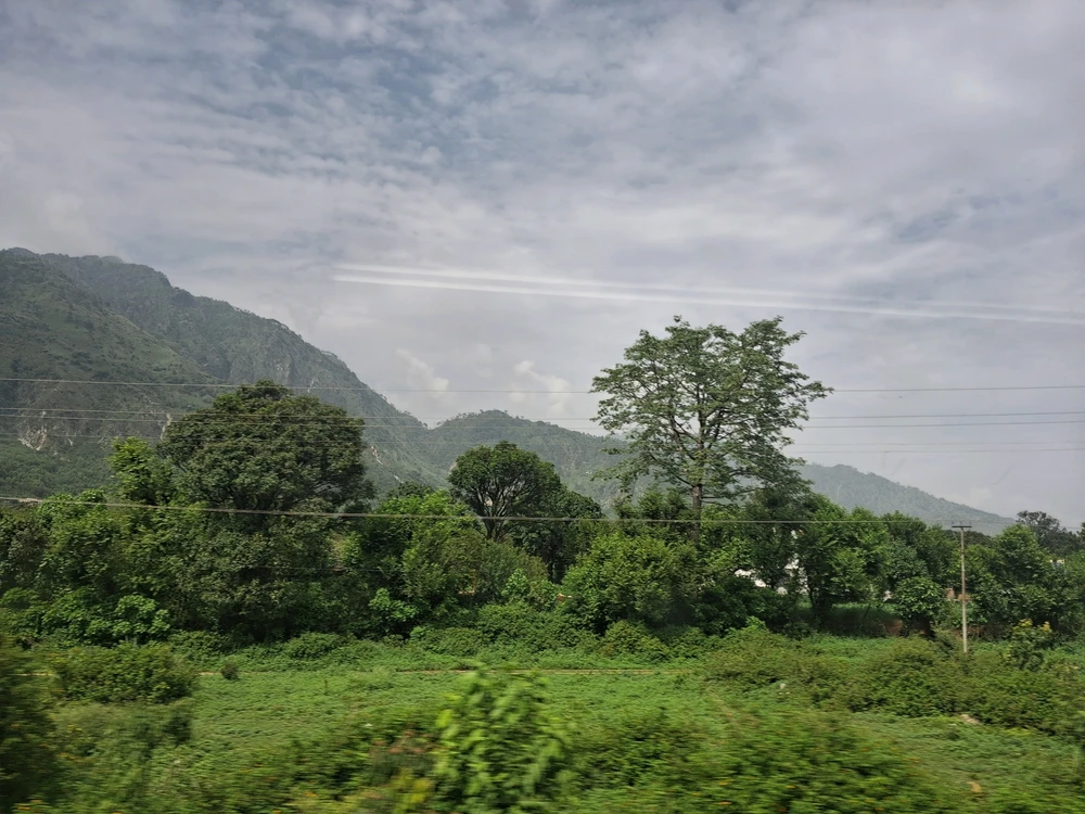 Image uploaded by Shifu