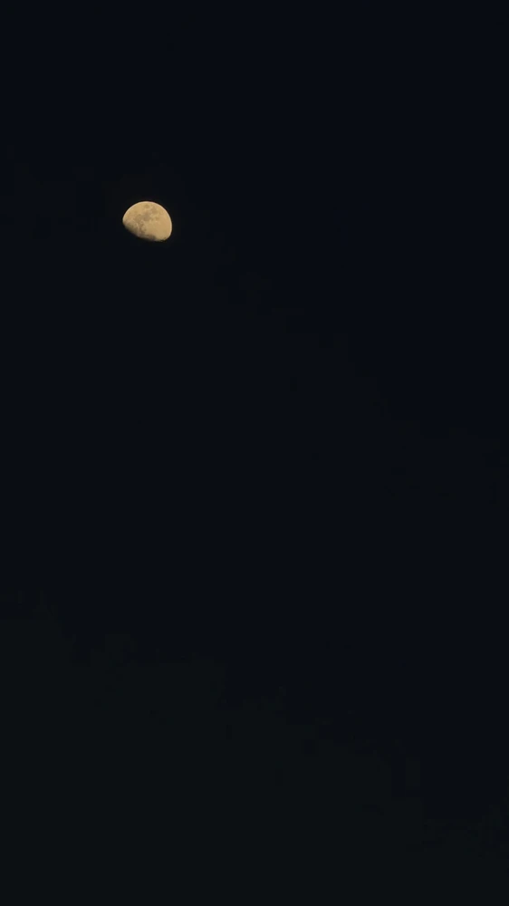 GIF uploaded by Hakan