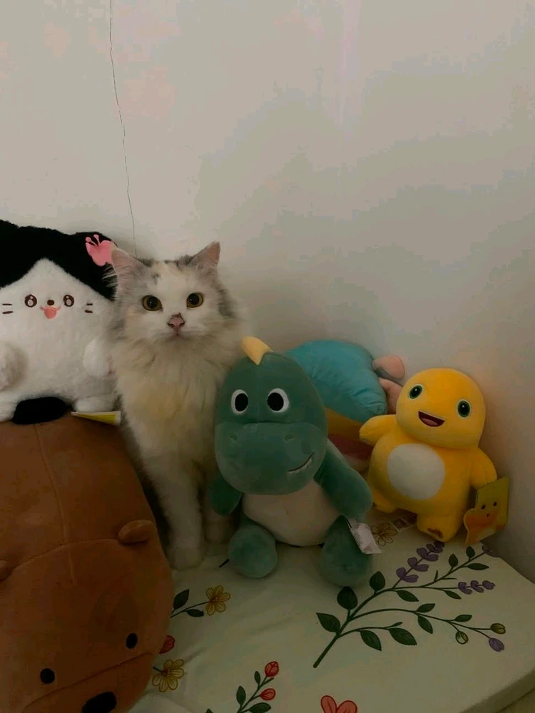 GIF uploaded by Ivon