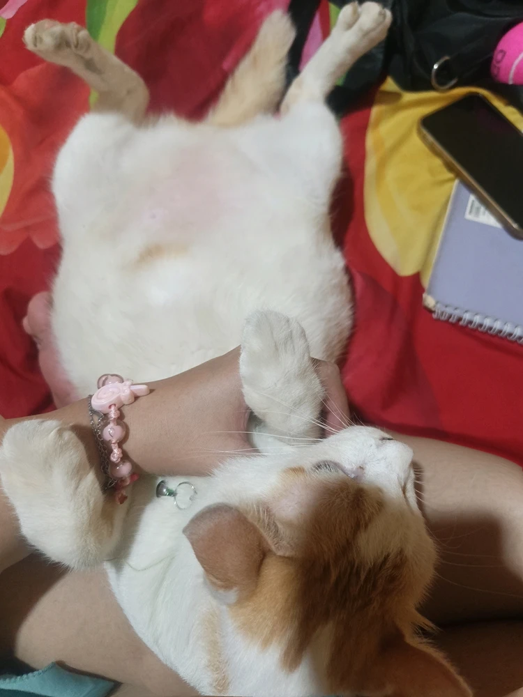 GIF uploaded by Ramara