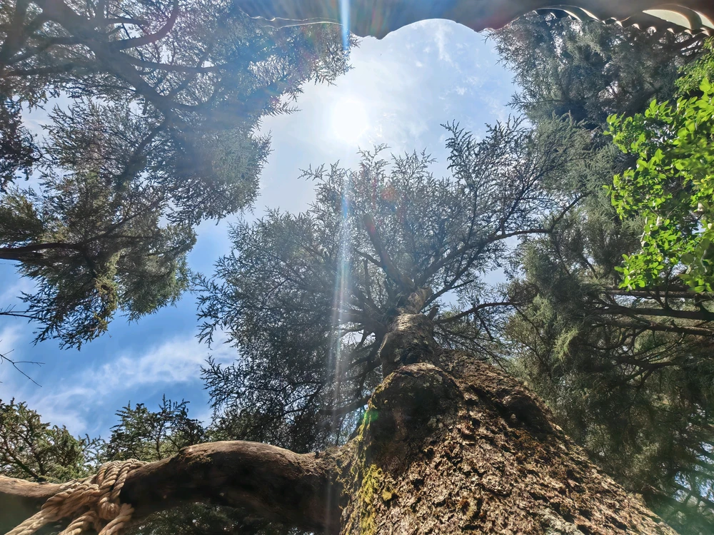 GIF uploaded by Riadh